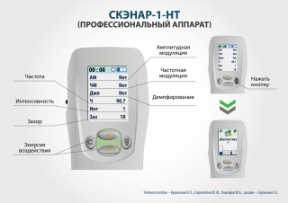 СКЭНАР-1-НТ (исполнение 01)  в Калининграде купить Медицинский интернет магазин - denaskardio.ru 